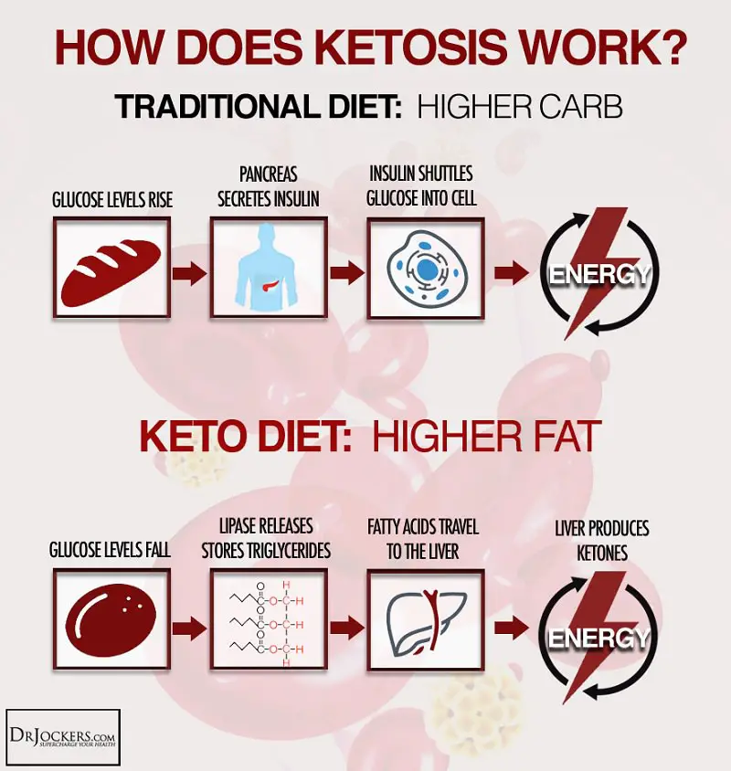 Image result for Easy Keto Diet 101: A Beginner's Guide infographics