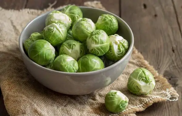 High Protein Foods: Brussels Sprouts