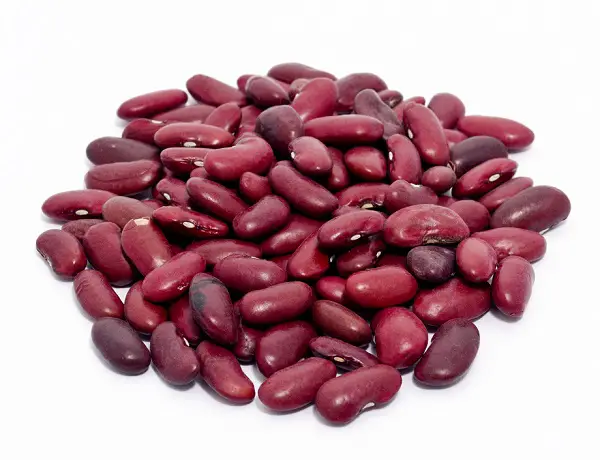 High Protein Foods: Kidney Beans