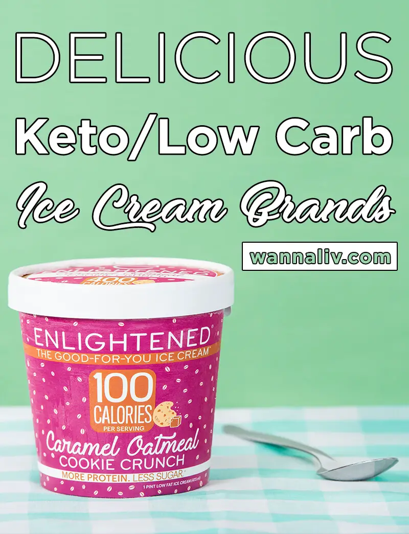 Keto/Low Carb Friendly Ice Cream Brands + 50 Free Recipes - Wanna Liv
