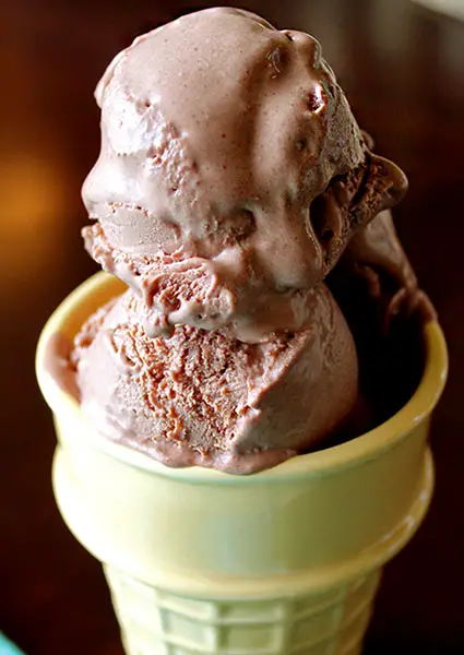 Dairy-Free Chocolate Ice Cream Recipe
