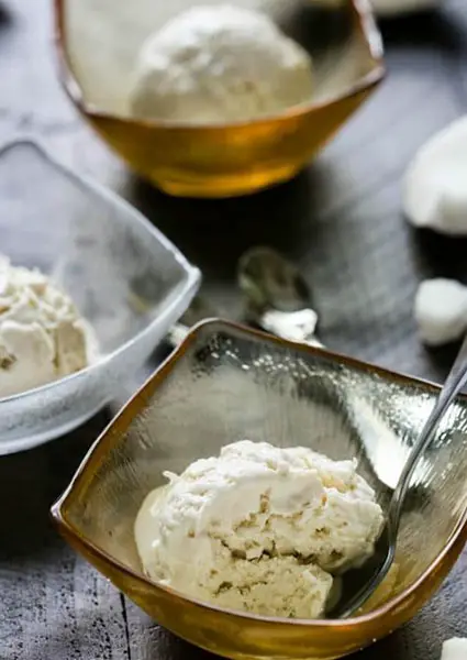 Easy Coconut Ice Cream Recipe